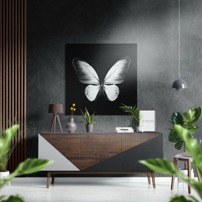 White Butterfly on Black Brushed Aluminium Dibond Wall Art