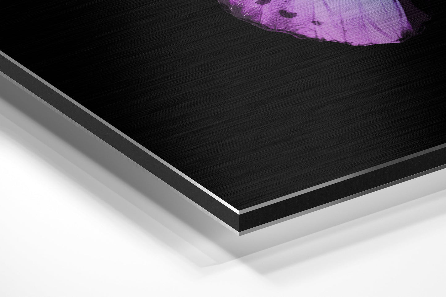 Purple Blue Butterfly Brushed Aluminium Dibond Wall Art