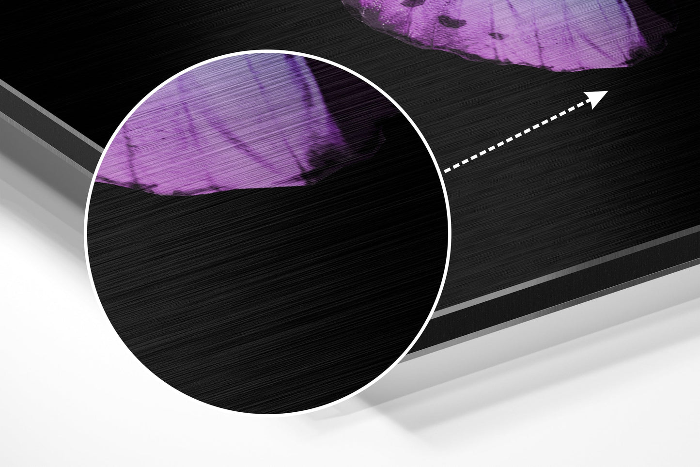Purple Blue Butterfly Brushed Aluminium Dibond Wall Art