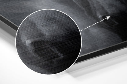 White Horse Flowing Mane Profile Brushed Aluminium Dibond Wall Art