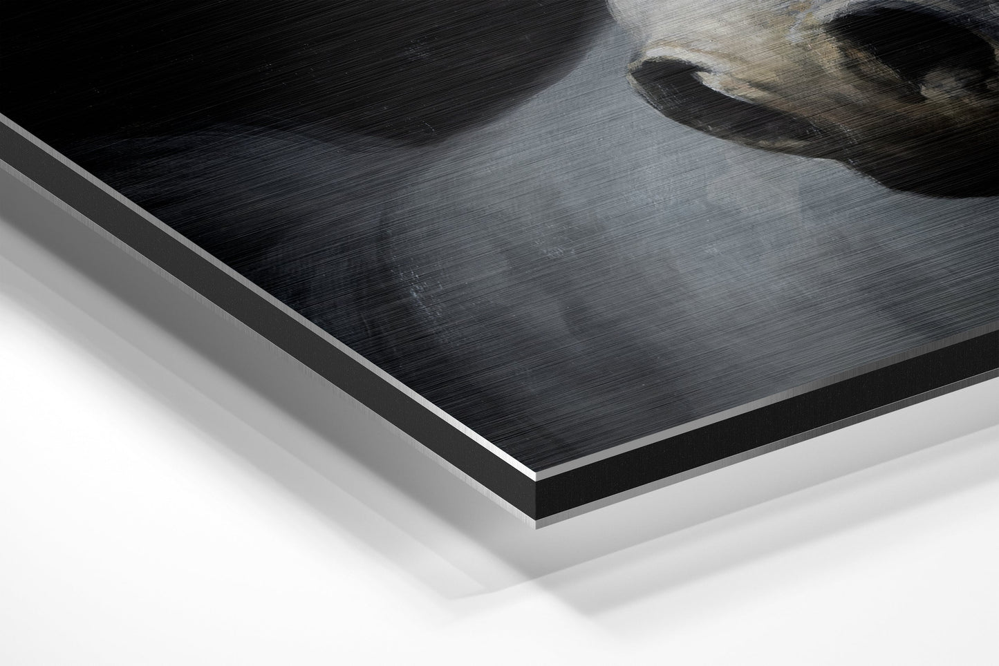 White Horse Head Dark Backdrop Brushed Aluminium Dibond Wall Art