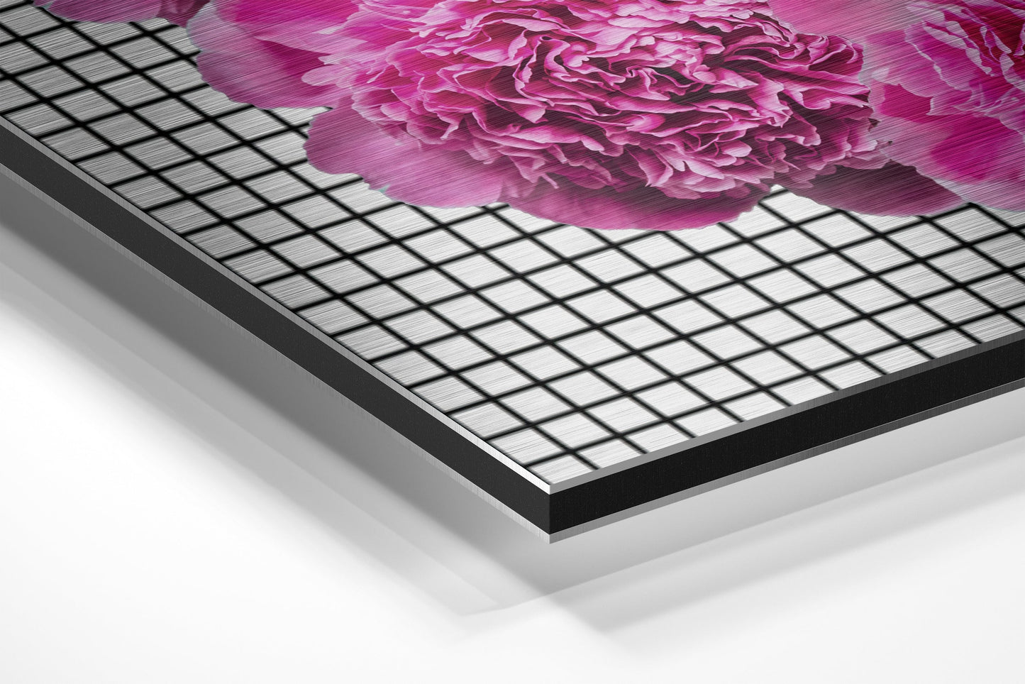 Pink Carnation Hands And Lips Brushed Aluminium Dibond Wall Art