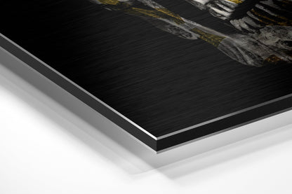 Gold Pattern Skull Brushed Aluminium Dibond Wall Art