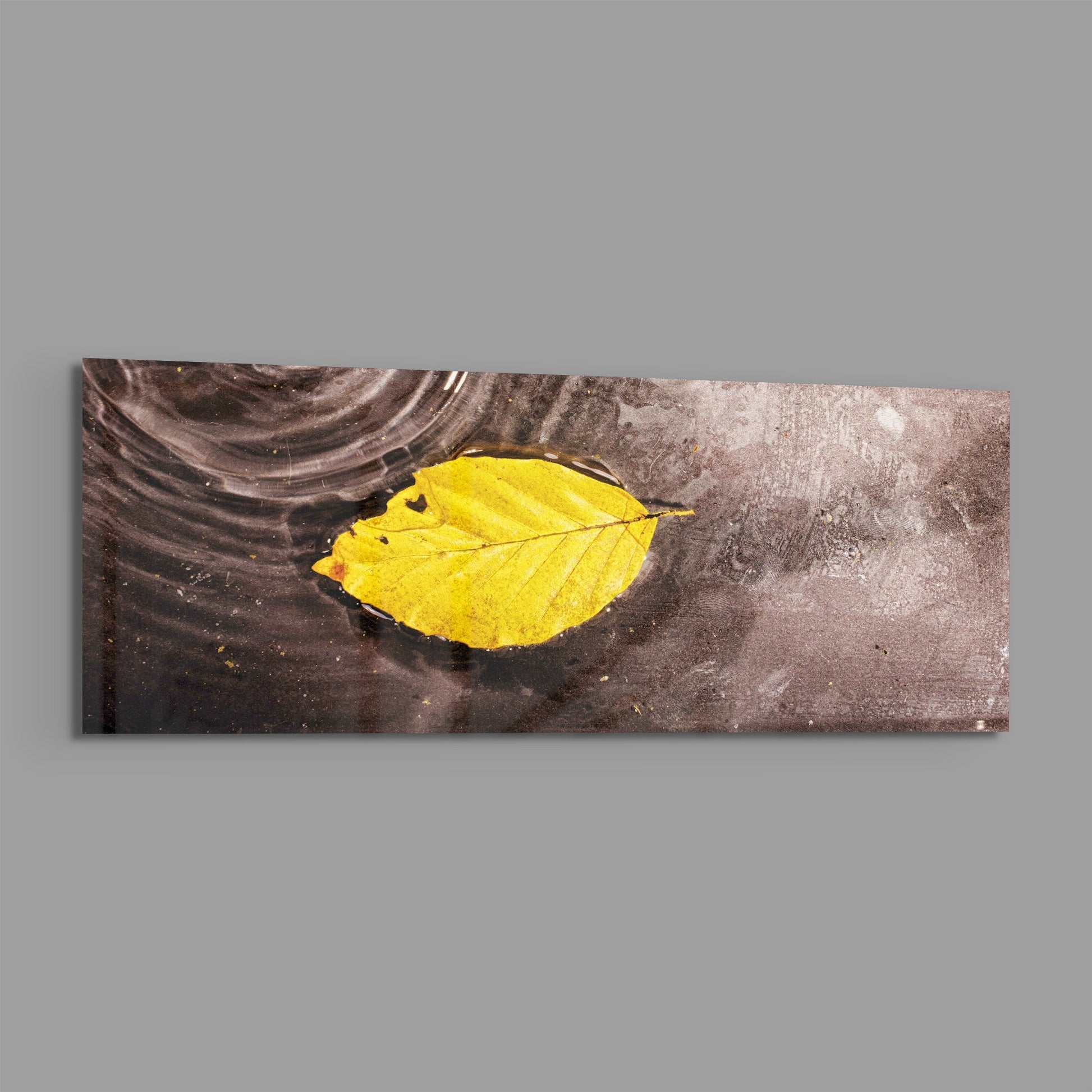 Bright yellow autumn leaf floating on dark water surface, displayed as a horizontal rectangular glass wall art piece.