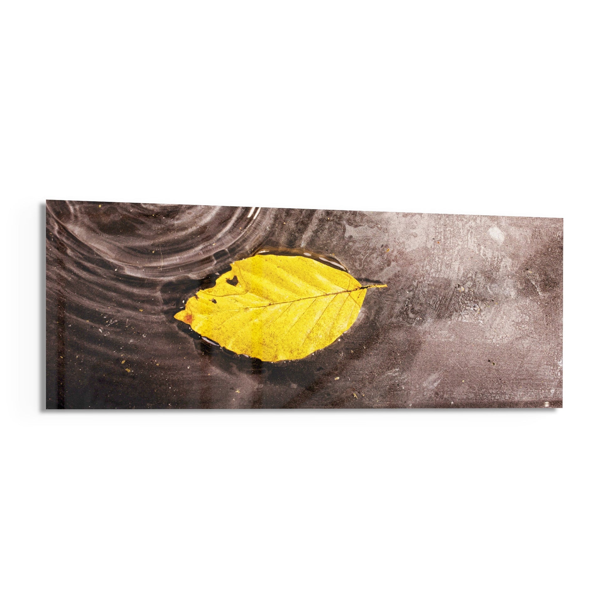 Bright yellow autumn leaf floating on dark water with circular ripples, displayed as a horizontal glass wall art panel.