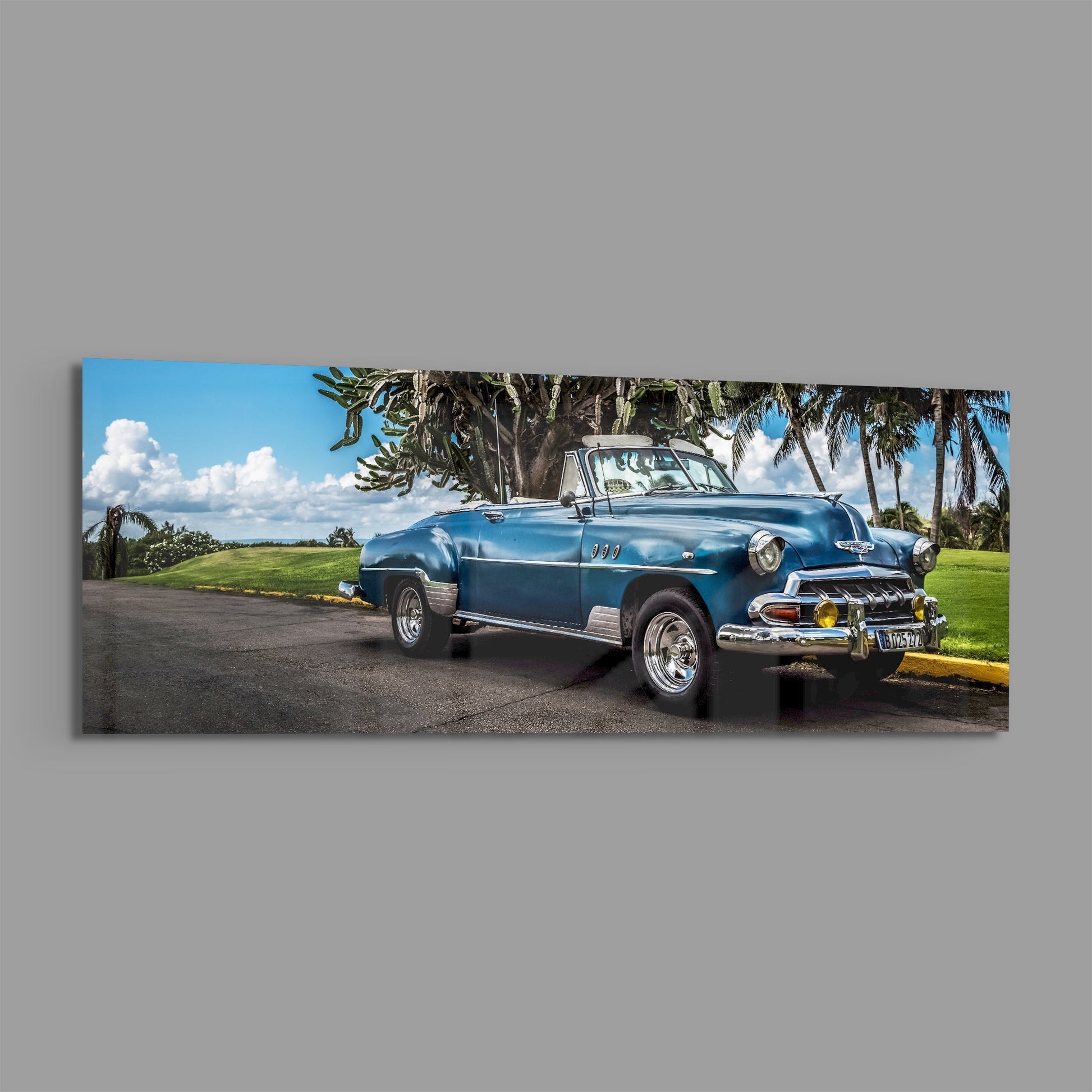 Blue 1950s convertible parked under palm trees with green lawn and blue sky in background.