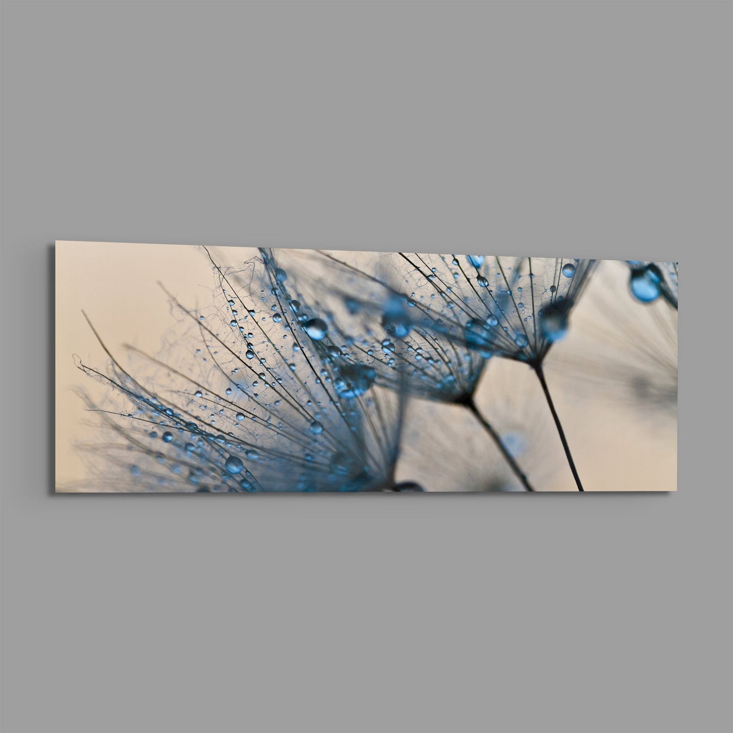 Close-up macro photograph of dandelion seedhead with blue-tinted water droplets on delicate filaments against soft beige background.