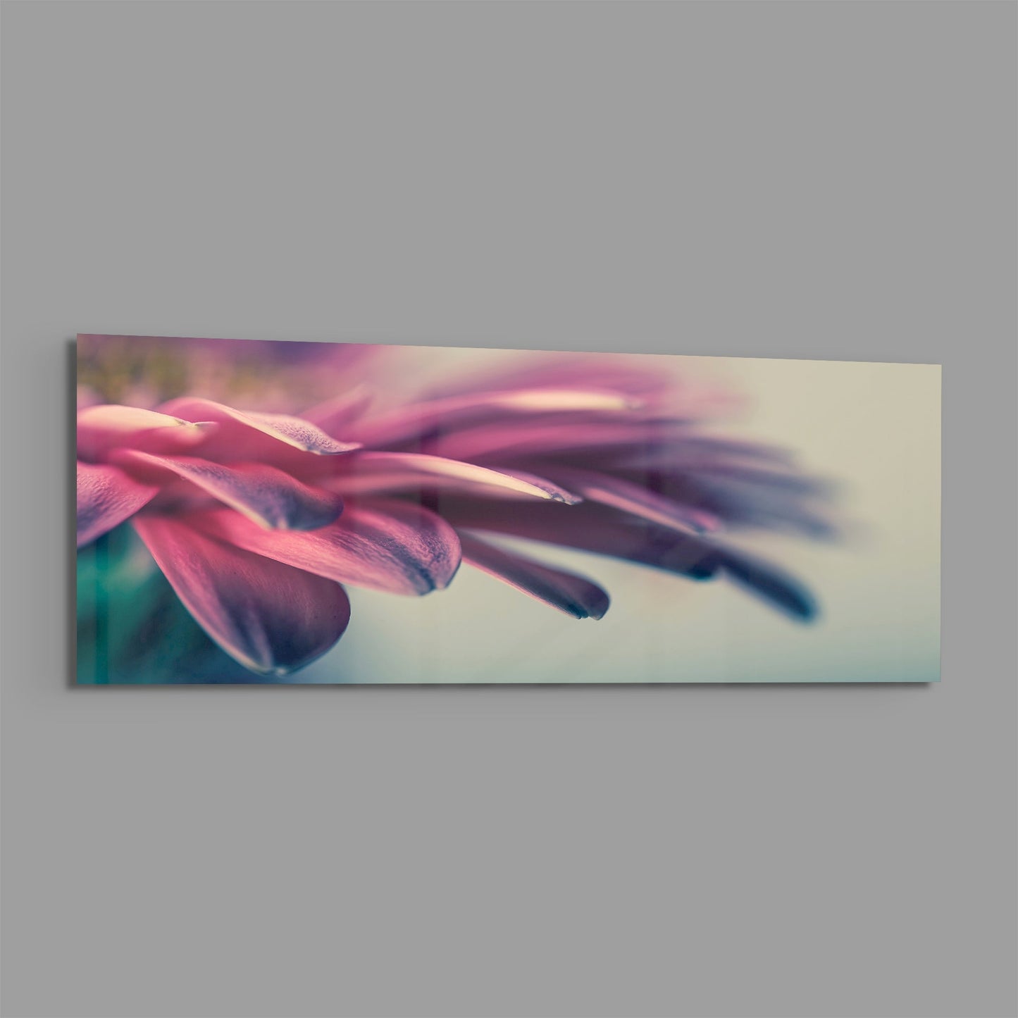 Close-up macro photograph of pink and purple flower petals with soft focus gradient transitioning to cream background on glass wall art.