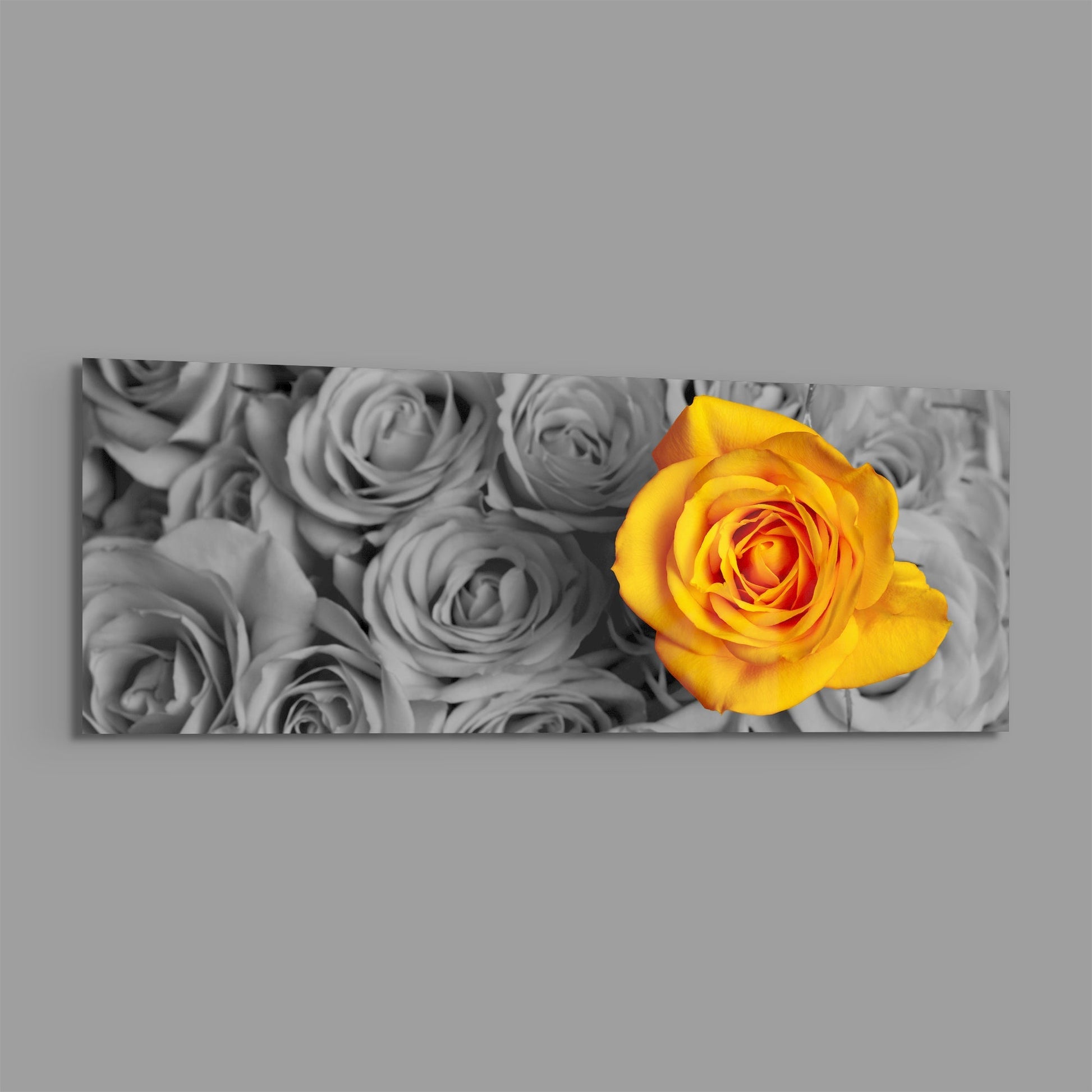 Rectangular glass wall art displaying a vibrant yellow rose centered against a black and white background of blurred gray roses.