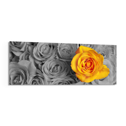 A vibrant yellow rose stands out in color against a grayscale background of gray roses on a rectangular glass wall panel.