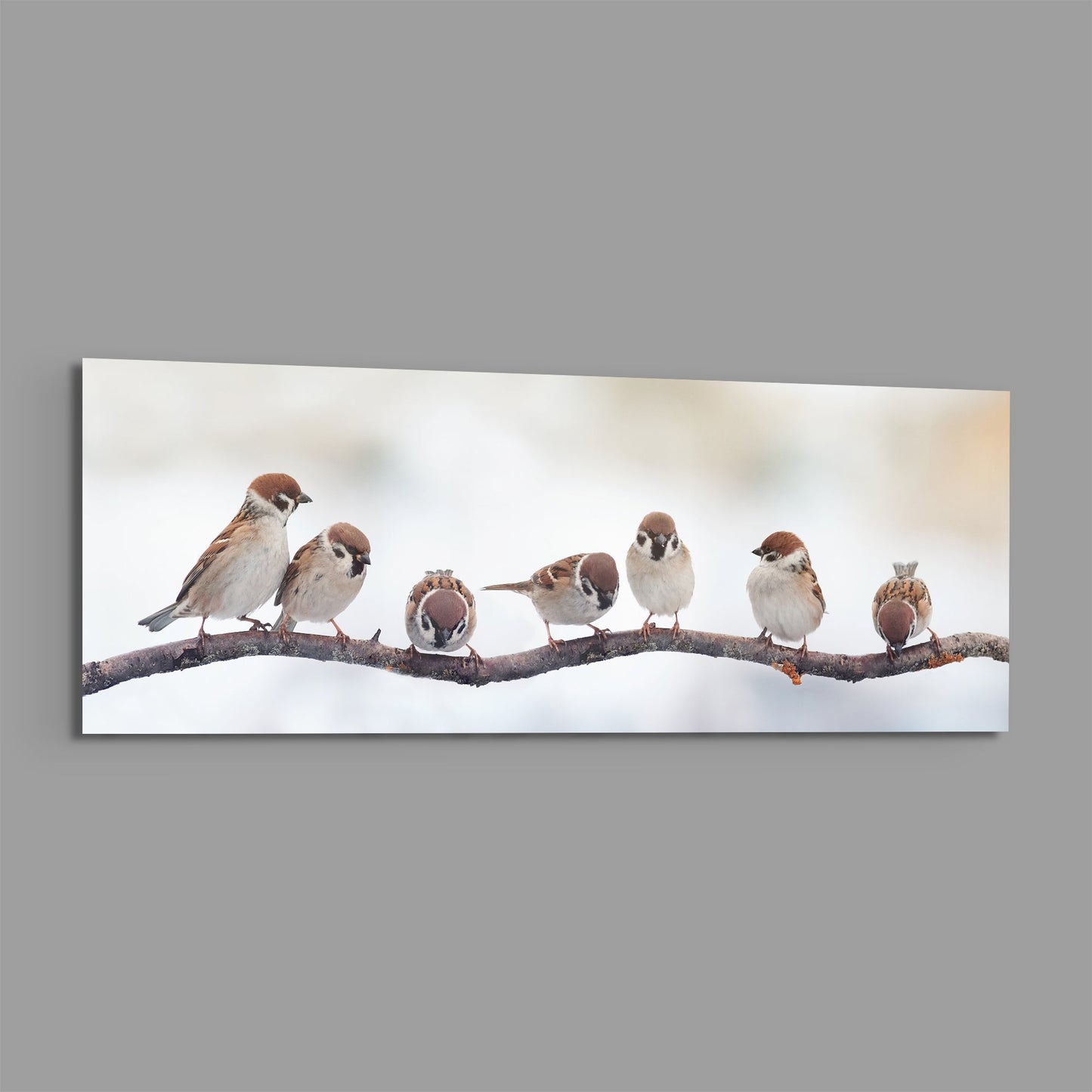 Seven Sparrows On A Bare Branch Glass Wall Art