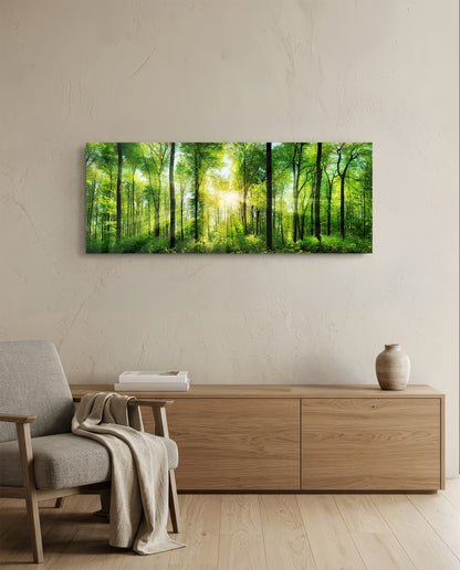 Sunburst Through Green Beech Forest Glass Wall Art