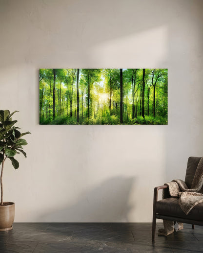 Sunburst Through Green Beech Forest Glass Wall Art