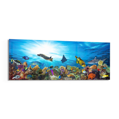 Coral Reef Turtle Underwater Sea Glass Wall Art