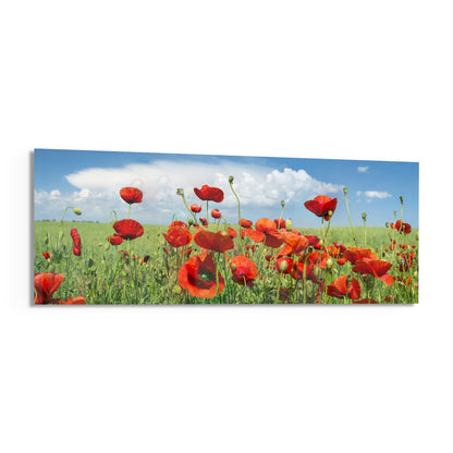 Red poppies in a green field under blue sky with white clouds on a rectangular glass panel.