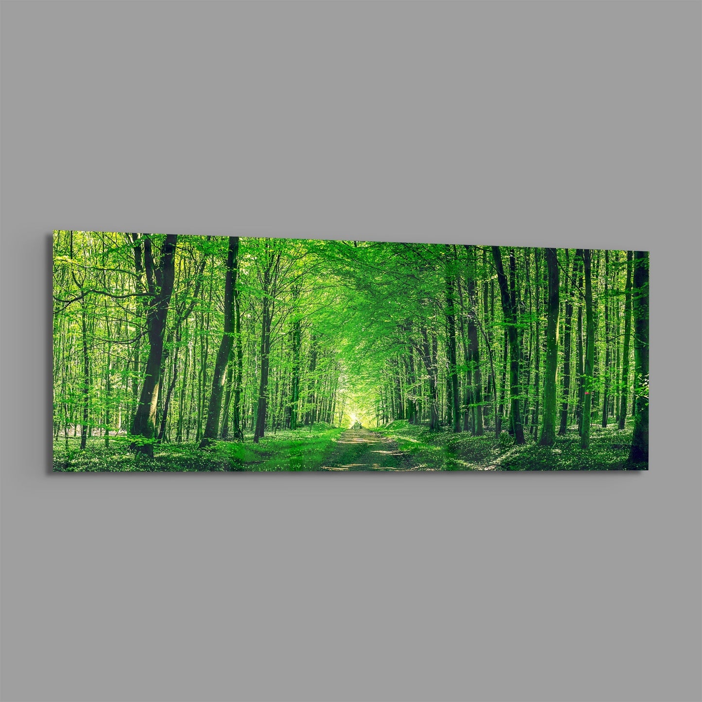 Leafy Tunnel Woodland Path Glass Wall Art