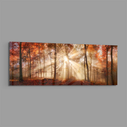 Amber Autumn Forest Light Rays Glass Wall Art