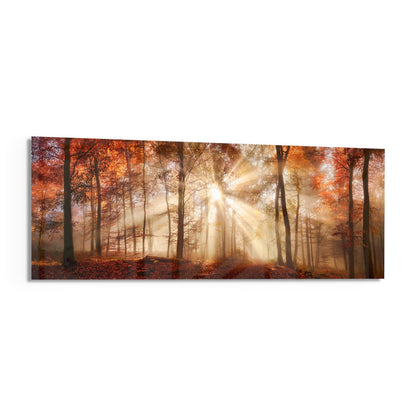 Amber Autumn Forest Light Rays Glass Wall Art