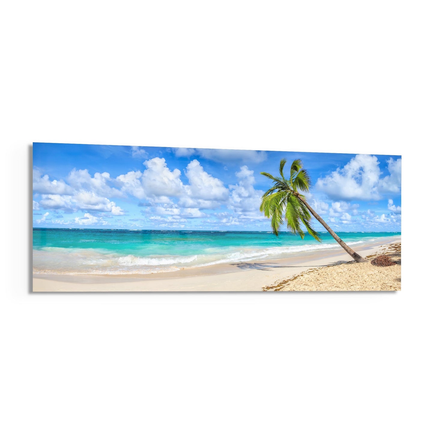A single palm tree leans toward turquoise ocean waves on a sandy beach beneath a blue sky with white clouds.