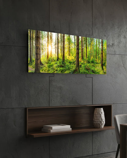 Starburst Sun Mossy Pine Forest Glass Wall Art
