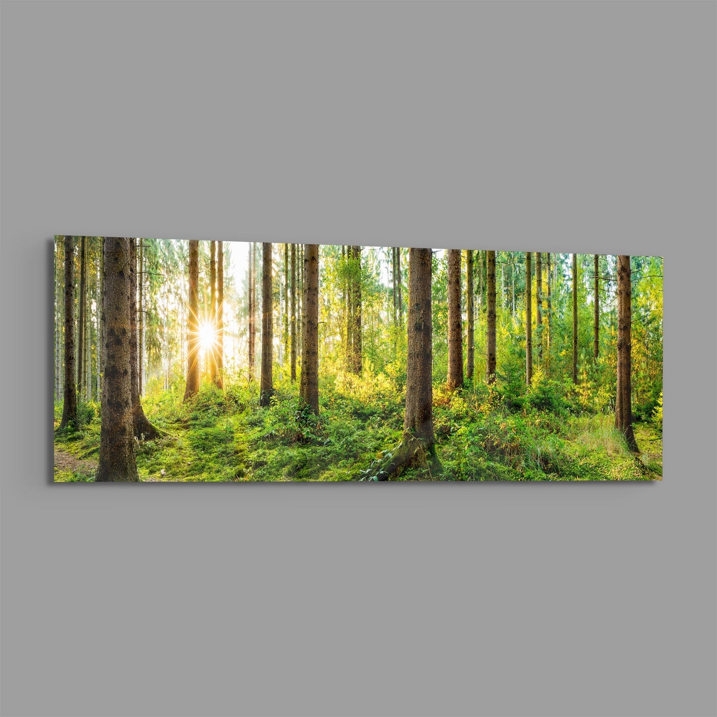 Starburst Sun Mossy Pine Forest Glass Wall Art