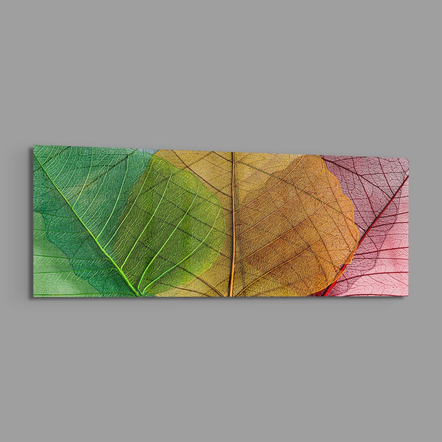Horizontal glass wall art panel displaying three overlapping translucent leaves in green, yellow-gold, and pink tones against gray background.