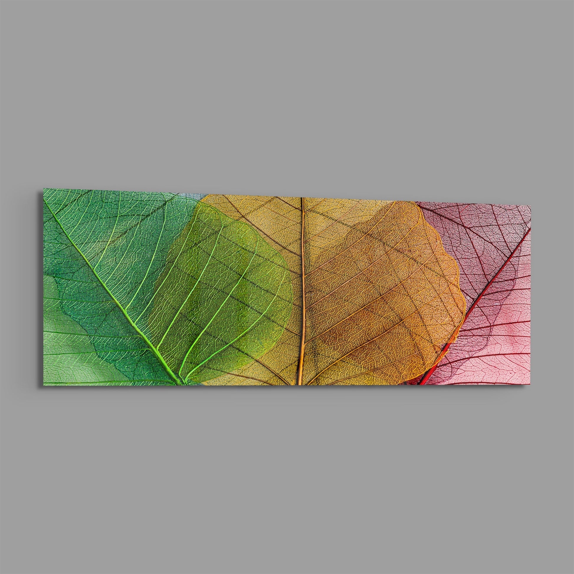 Horizontal glass wall art panel displaying three overlapping translucent leaves in green, yellow-gold, and pink tones against gray background.