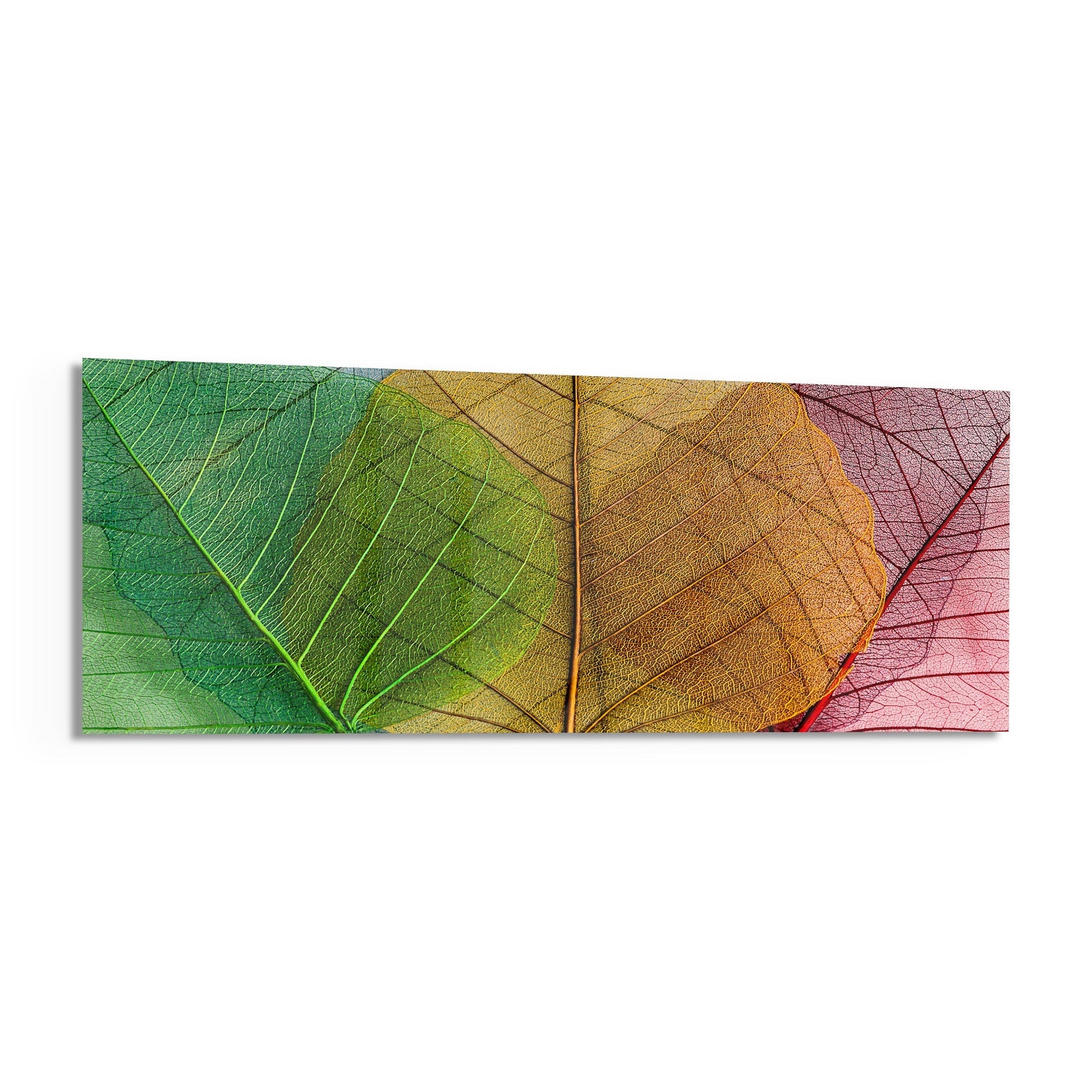 Translucent glass wall art panel displaying three overlapping leaves in gradual color transition from green through yellow and orange to pink and red, showing detailed vein structures.