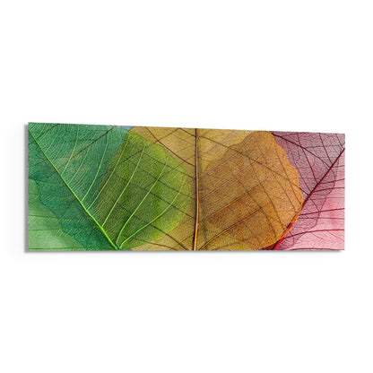 Translucent glass wall art panel displaying three overlapping leaves in gradual color transition from green through yellow and orange to pink and red, showing detailed vein structures.