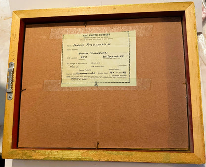 Back of the gold-finished wood frame with kraft-paper backing, a sawtooth hanger, and the American Hoechst AHC Photo Contest entry blank taped in the center