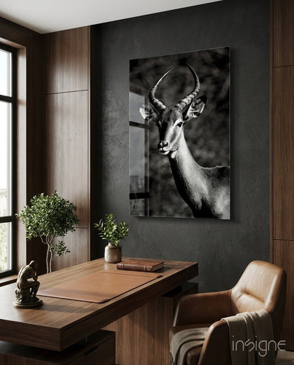 Black and White Impala Portrait Glass Wall Art