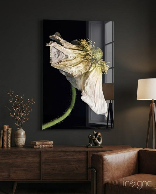 Framed glass wall art displaying a dried white poppy flower with green stem against black background, hung above wooden dresser in modern interior setting.