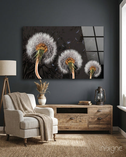 Three Dandelion Seed Heads on Charcoal Glass Wall Art