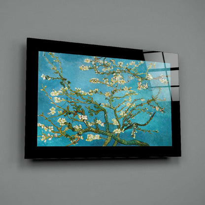Black-framed glass wall art displaying Van Gogh's almond blossoms painting with turquoise background and white flowers, mounted on gray wall.
