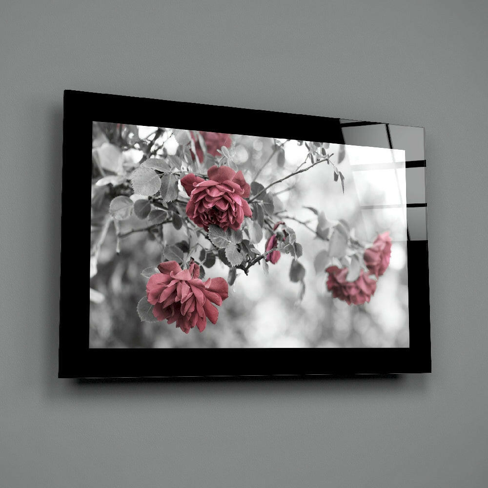 Black-framed glass wall art displaying selective color photograph of deep pink roses with monochrome foliage background.