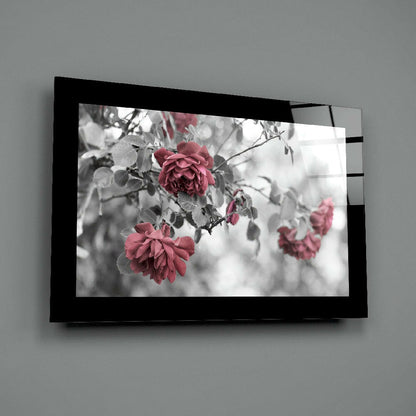 Black-framed glass wall art displaying selective color photograph of deep pink roses with monochrome foliage background.