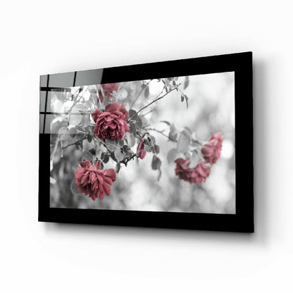 Black-framed glass wall art displaying selective color photograph of pink roses with gray foliage, mounted at an angle.