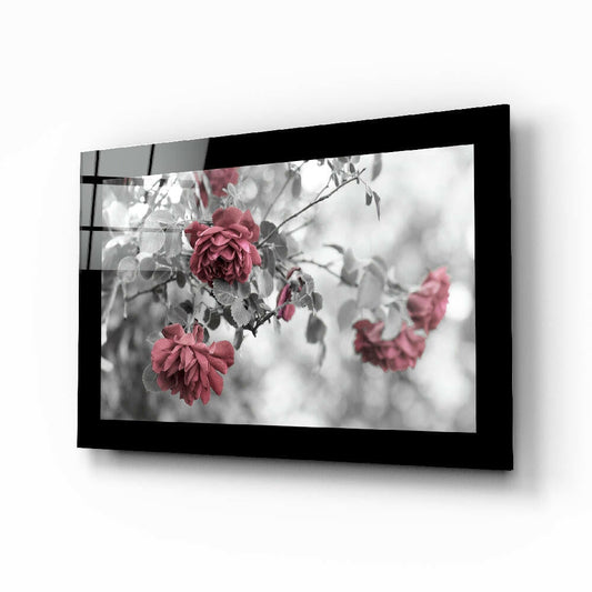 Black-framed glass wall art displaying selective color photograph of pink roses with gray foliage, mounted at an angle.