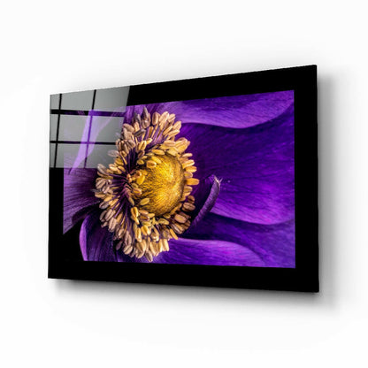 Black-framed glass wall art displaying a yellow passionflower with purple petals against a purple background, mounted at an angle.