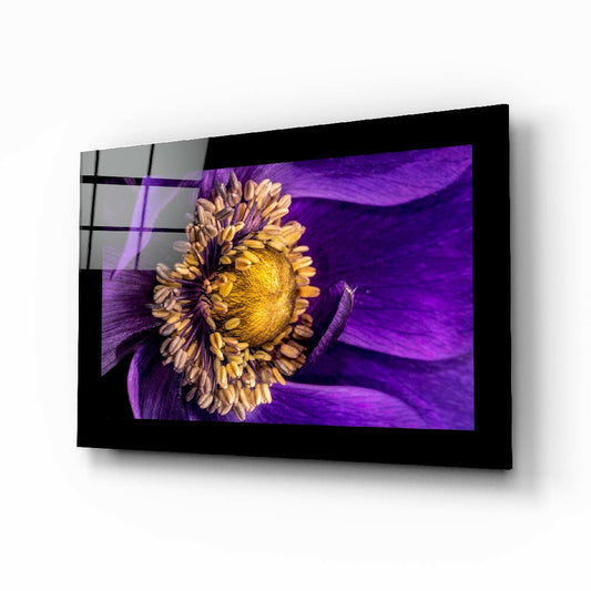 Black-framed glass wall art displaying a yellow passionflower with purple petals against a purple background, mounted at an angle.