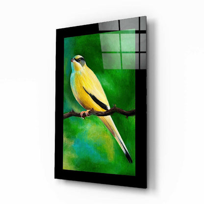 Yellow and black bird perched on branch against green gradient background on black-framed glass wall art panel.