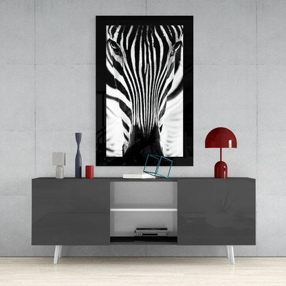 Backlit Zebra Gaze Glass Wall Art