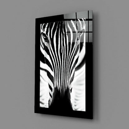 Backlit Zebra Gaze Glass Wall Art
