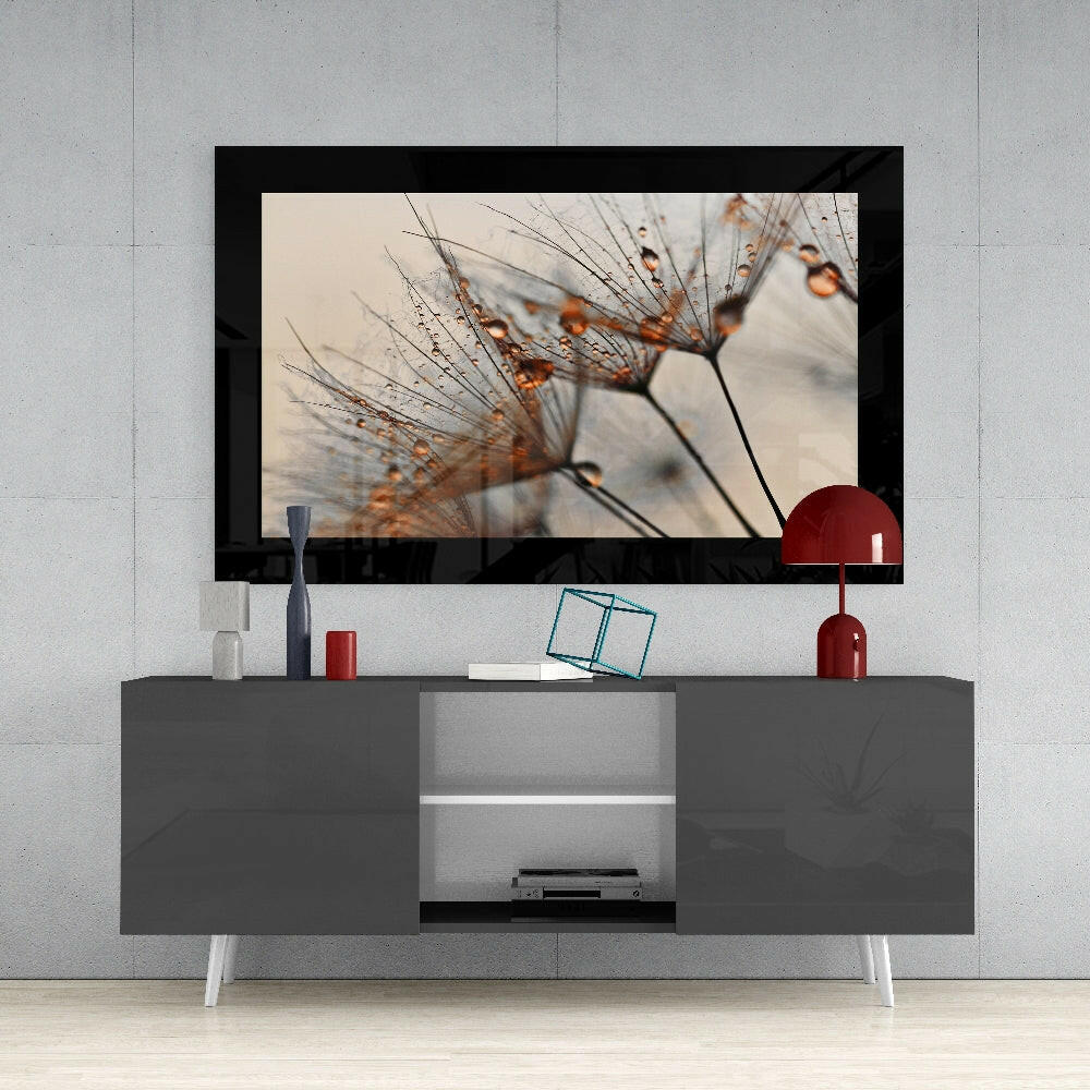 Backlit Dandelion Seed Macro Glass Wall Art