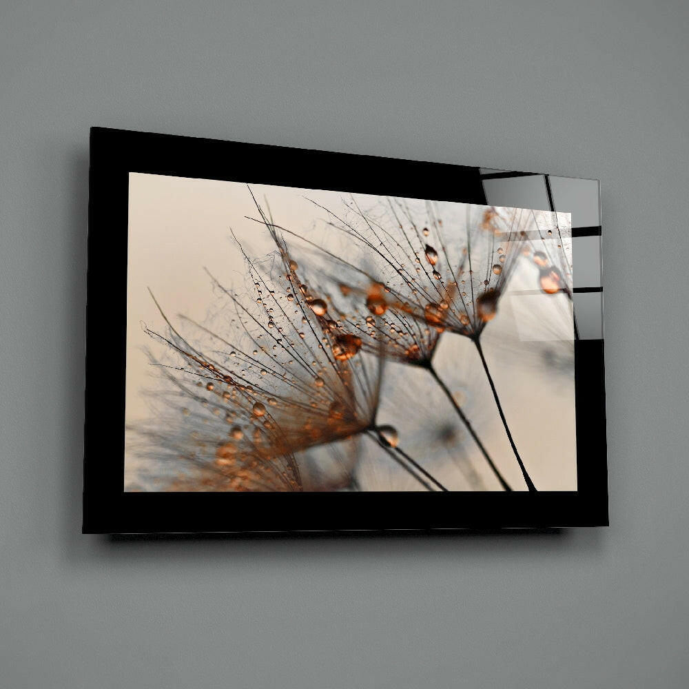 Backlit Dandelion Seed Macro Glass Wall Art