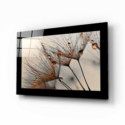Backlit Dandelion Seed Macro Glass Wall Art