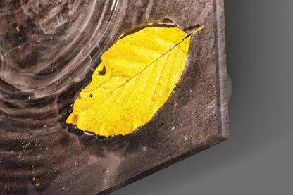 Rippled Water Floating Yellow Leaf Glass Wall Art