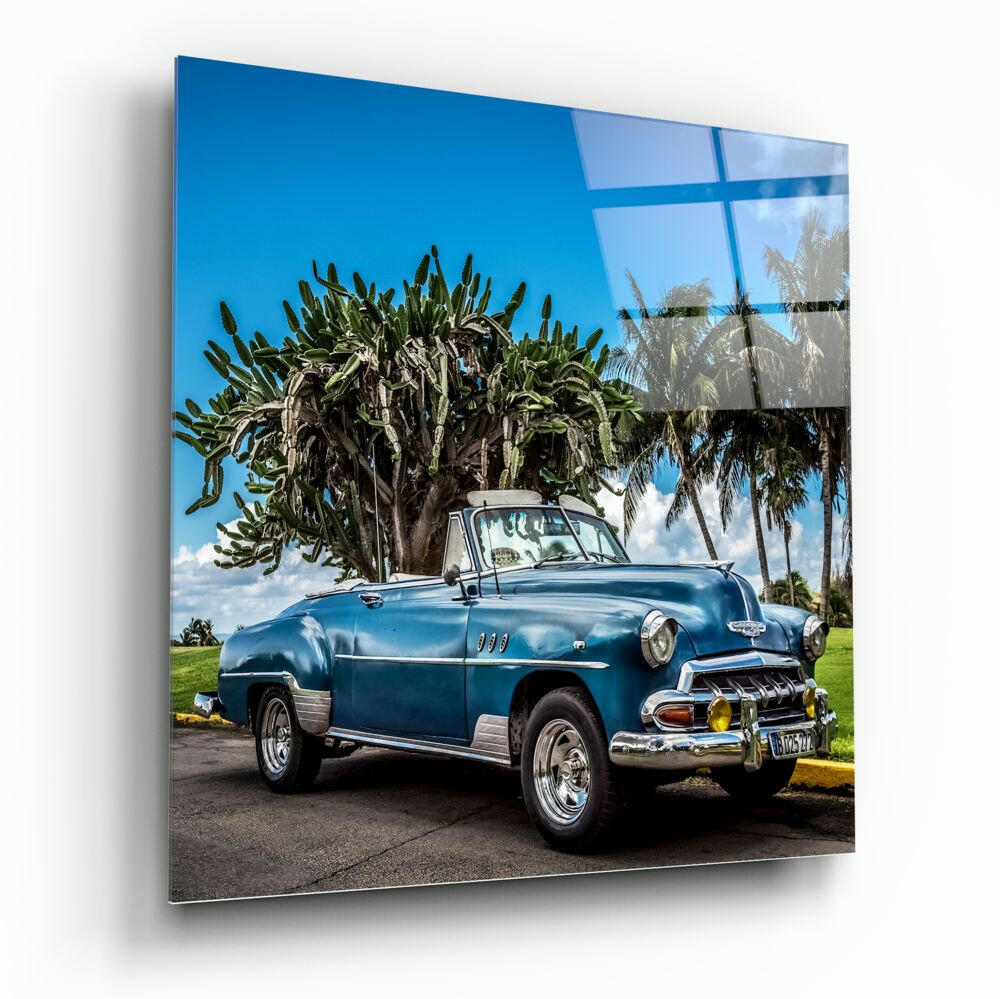 Blue vintage convertible car parked beside large tropical plant under clear sky, displayed on glass wall art.