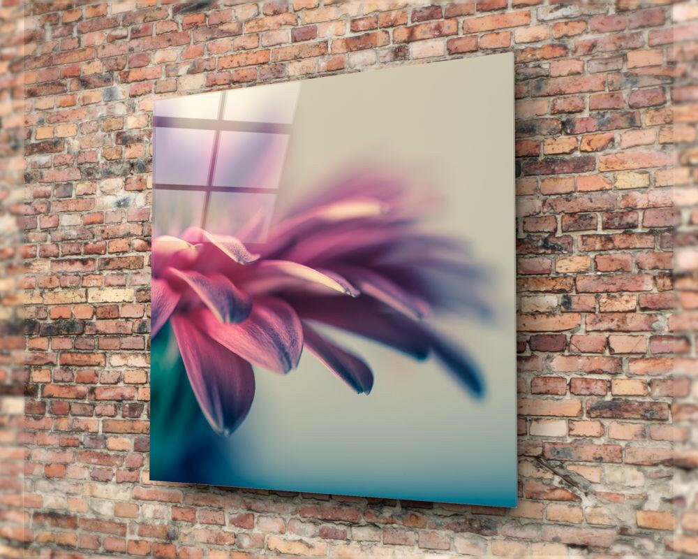 Dreamy Pink Gerbera Glass Wall Art