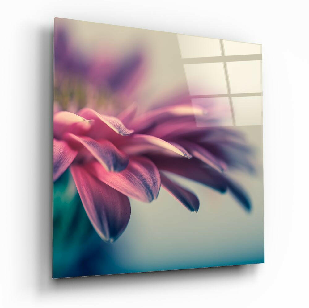 Dreamy Pink Gerbera Glass Wall Art